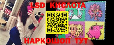 прущие грибы Азнакаево