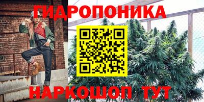 прущие грибы Азнакаево