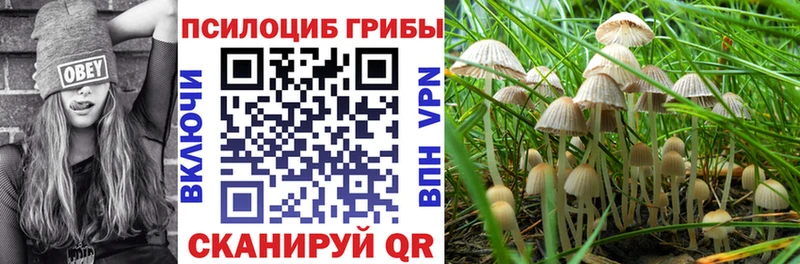 мега ТОР  Дятьково  Псилоцибиновые грибы GOLDEN TEACHER 