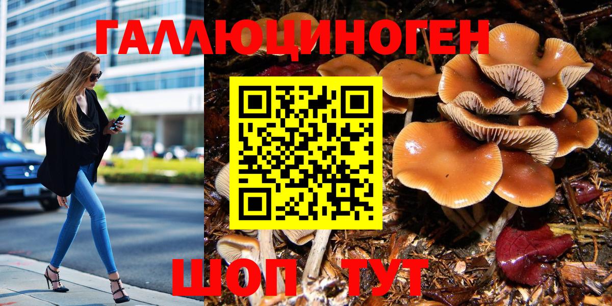 Галлюциногенные грибы GOLDEN TEACHER Дятьково
